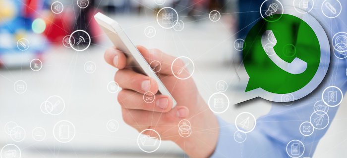 Como usar o chatbot do WhatsApp Business no Mercado Imobiliário